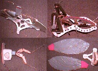 Collage of parts of the Bipedal Ornithopter