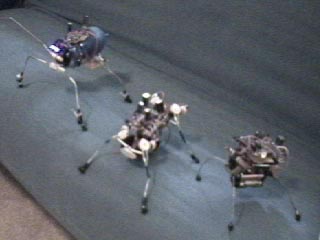 David Pike : 3 microcore bugbots David Pike : 3 microcore bugbots